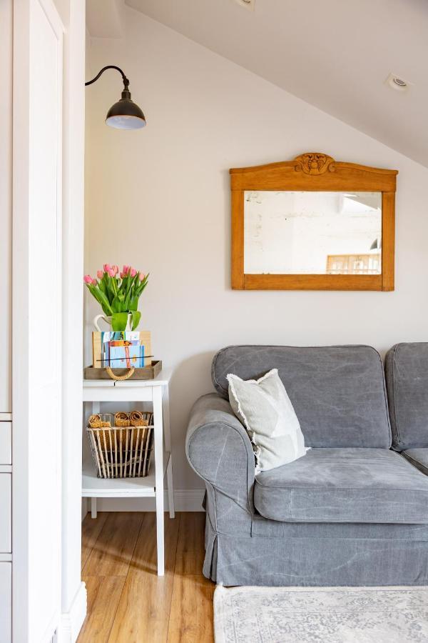 Apartament Wigilijna Premium Starowka Έλμπλαγκ Εξωτερικό φωτογραφία